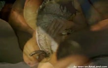Close-up of chick masturbating with a dildo